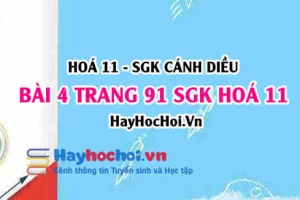 Bài 4 trang 91 SGK Hoá 11 Cánh diều